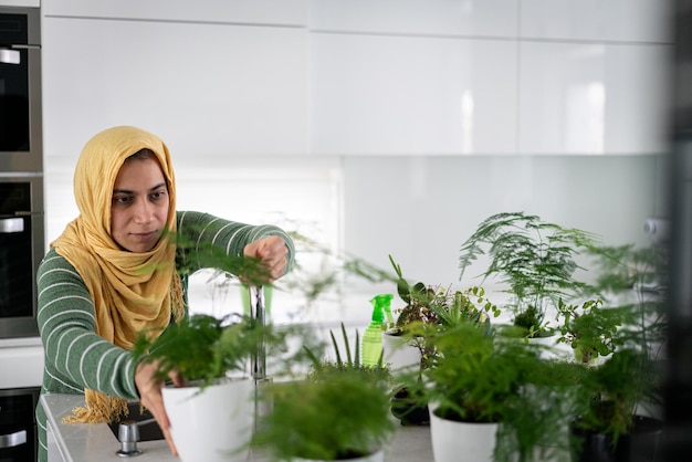 Ama de casa musulmana en casa regando las plantas en la cocina