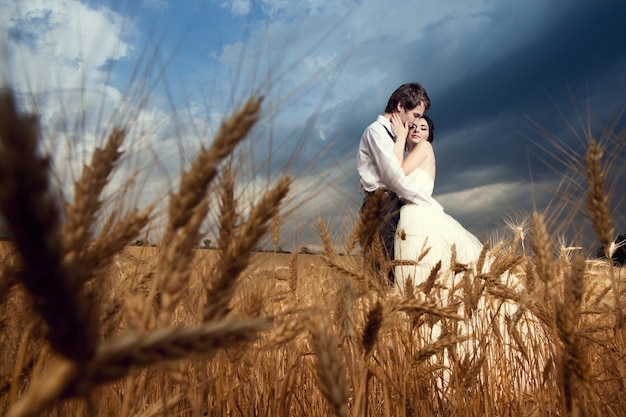 En amados novios en campo de trigo sobre cielo azul. Recién casados. Joven pareja feliz casándose. Amor y ternura