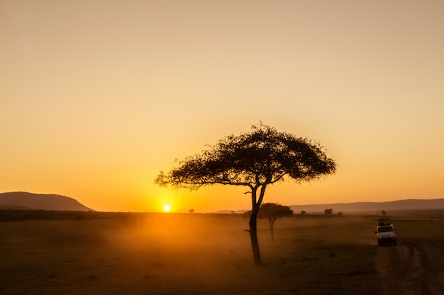 Amanecer africano con acacias y coche de safari en Masai Mara, Kenia.