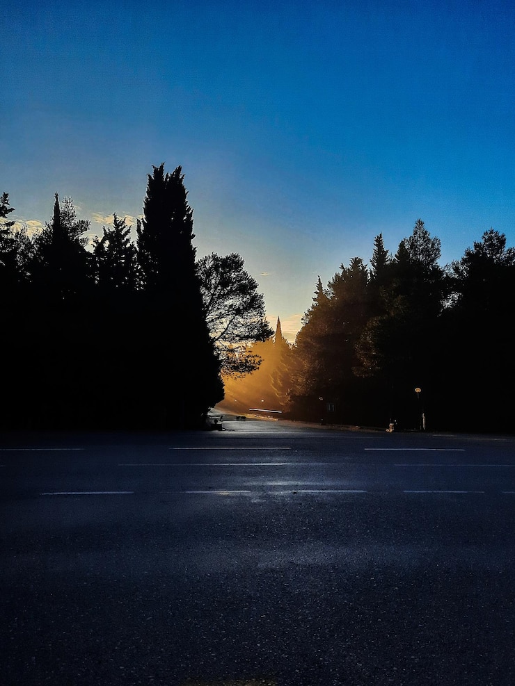 Foto el amanecer entre los árboles