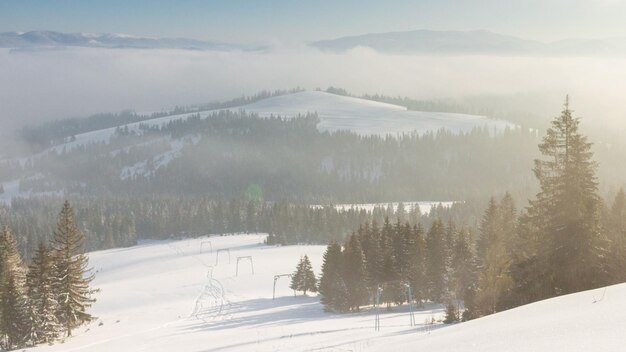 Amanecer en el bosque de montaña de invierno aéreo Frosty nadie paisaje natural Árboles nevados alpinos en la niebla de la mañana Impresionante belleza natural Salida del sol luz rosa Bosque de pinos