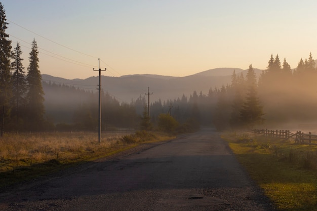 Amanecer brumoso en el campo