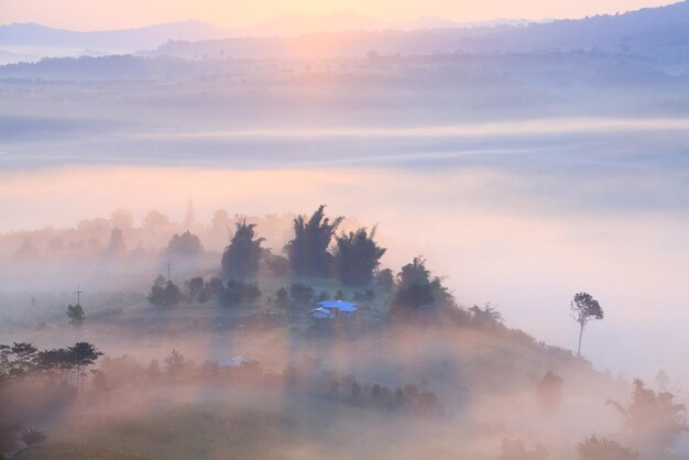 Amanecer brumoso en Khao Takhian Ngo View Point en Khaokho PhetchabunThailand