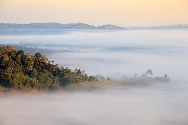 Amanecer brumoso en Khao Takhian Ngo View Point en Khaokho PhetchabunThailand