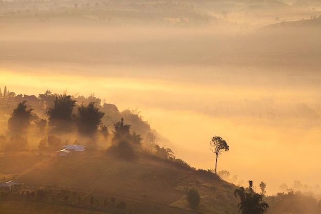 Amanecer brumoso por la mañana en la montaña en Khaokho PhetchabunThailand