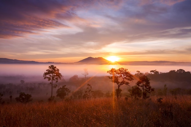Amanecer brumoso por la mañana en la montaña en el Parque Nacional Thung Salang Luang PhetchabunThailand