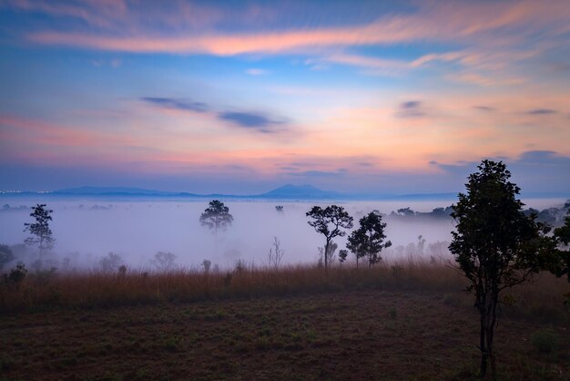 Amanecer brumoso por la mañana en el Parque Nacional Thung Salang Luang PhetchabunThailandxA