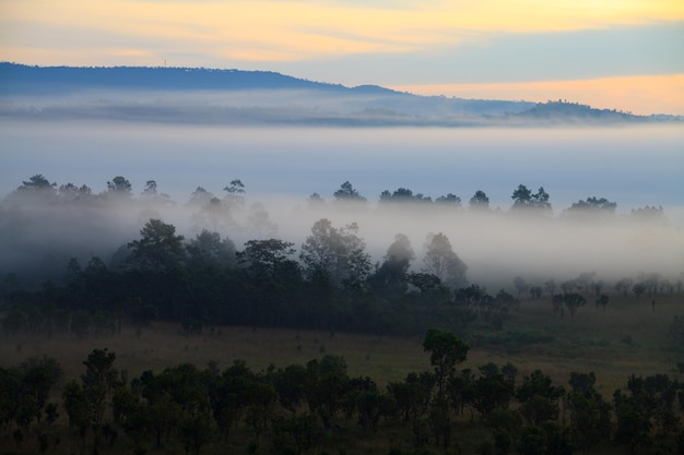Amanecer brumoso por la mañana en el Parque Nacional Thung Salang Luang PhetchabunTung slang luang