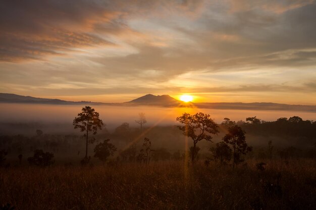 Amanecer brumoso por la mañana en el Parque Nacional Thung Salang Luang PhetchabunTung slang luang