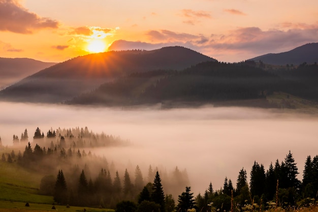 Amanecer brumoso en las montañas Hermoso paisaje de otoño