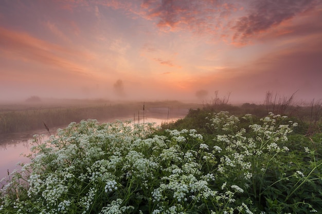 Amanecer brumoso en la orilla del río con flores.