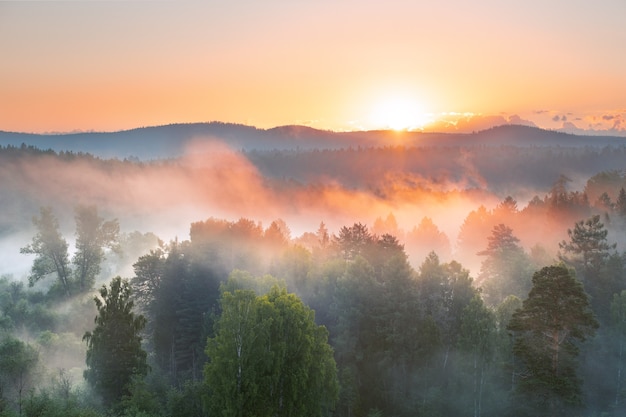 Amanecer brumoso en un parque nacional de los Urales