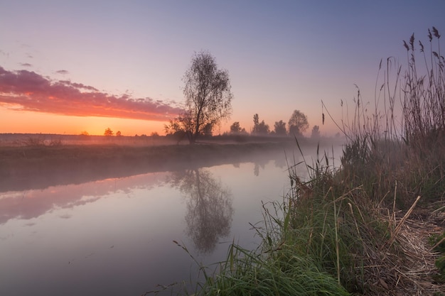 Amanecer brumoso sobre el lago en primavera