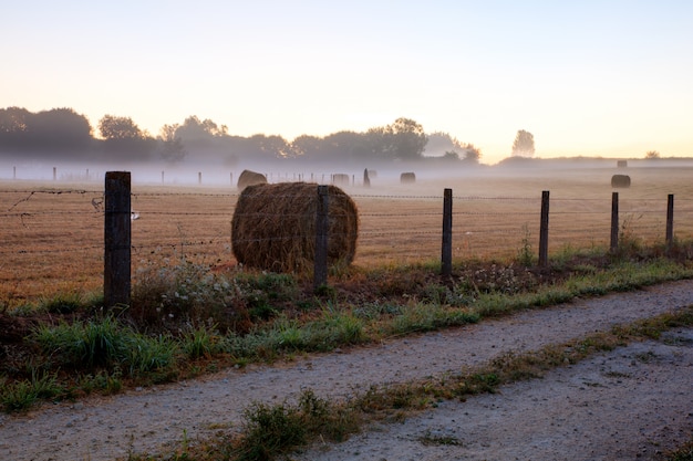 Amanecer en el campo de Galicia.