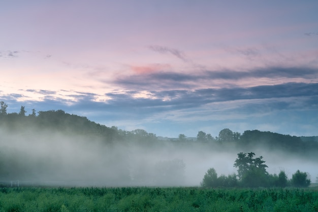 Amanecer en campos cubiertos de niebla.