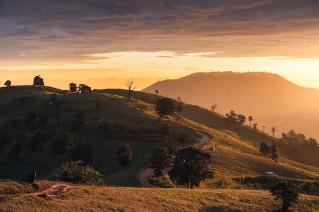 Amanecer en la colina y turistas acampando de vacaciones en el parque nacional de doi mae tho