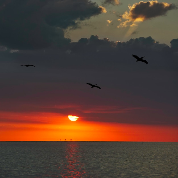 Amanecer en el delta del Danubio SulinaRomania