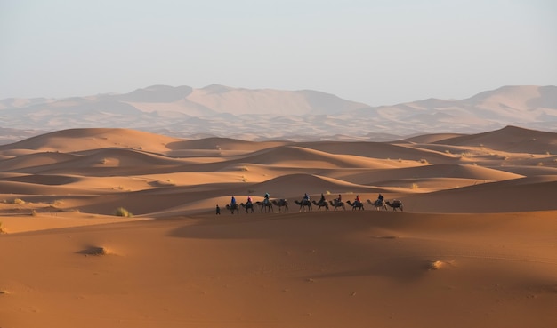 Amanecer en el desierto con caravana de camellos