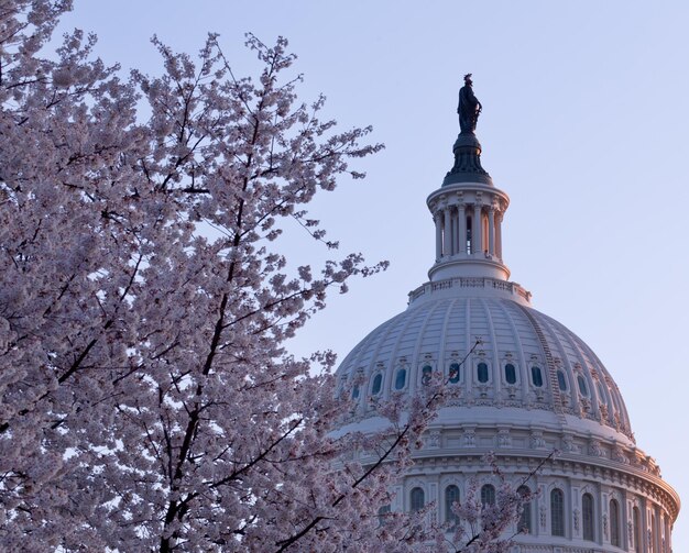 Amanecer detrás de la cúpula del Capitolio en DC