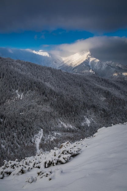 Amanecer frío en las montañas de Tatra Polonia