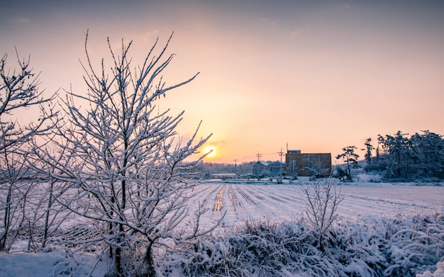 Amanecer de invierno durante las nevadas en Corea del Sur