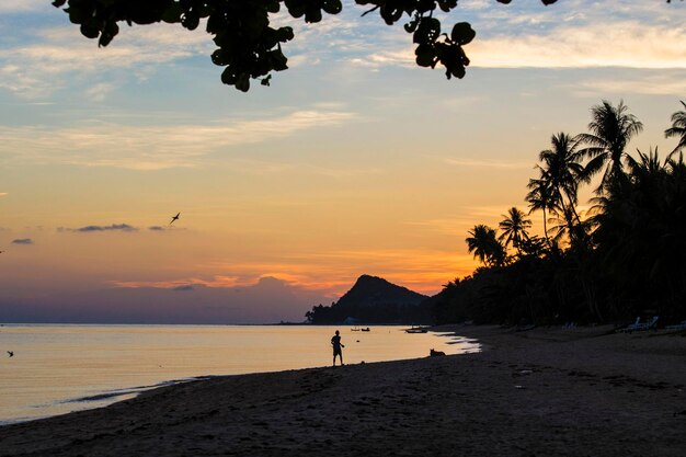 Amanecer en la isla de Koh Samui, Tailandia