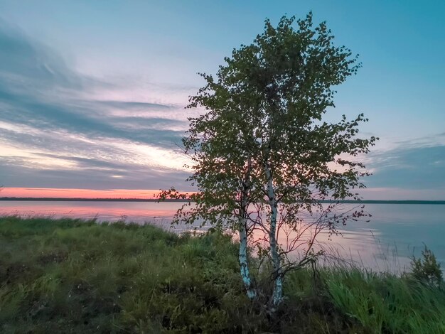 Foto amanecer en el lago voloyarvi, rusia
