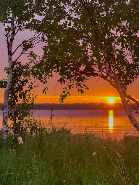 Amanecer en el lago Voloyarvi, Rusia