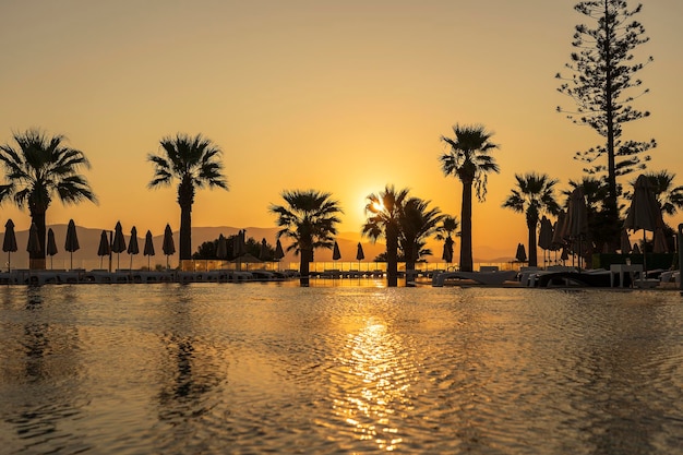 Amanecer mágico con silueta de palmera de coco y piscina en un complejo hotelero de lujo cerca del mar Hermoso paisaje marino matutino