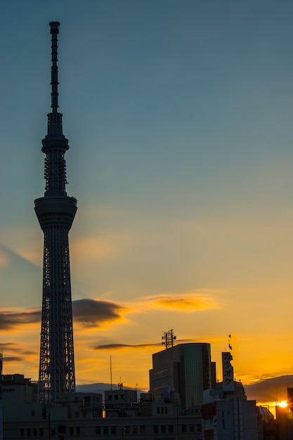 Amanecer de la mañana con Skytree de Silhouette, vista del centro de la ciudad desde Asakusa, Tokio, Japón