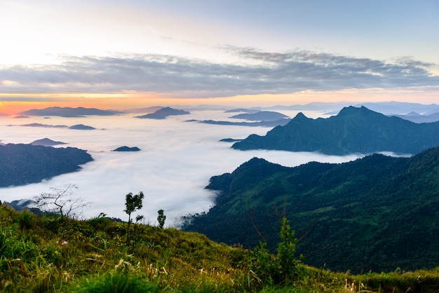 Amanecer y mar de niebla