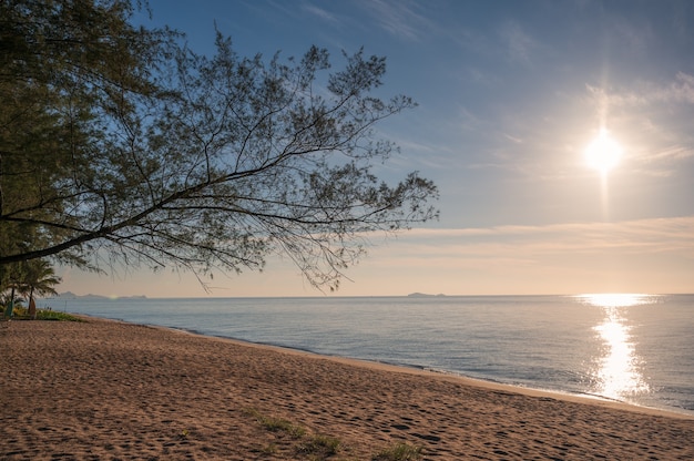 Amanecer en el mar tropical y el árbol en la playa en el Golfo de Tailandia