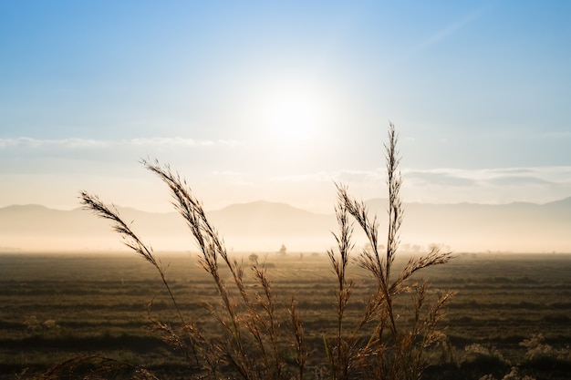 Amanecer en la montaña de campo