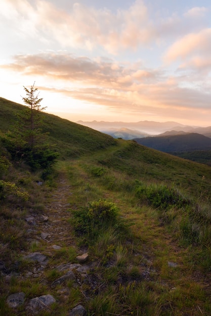 Foto amanecer en la montaña de los cárpatos mañana en madera paisaje colorido con bosques en niebla rayos de sol cielo bosque al amanecer en otoño vista superior