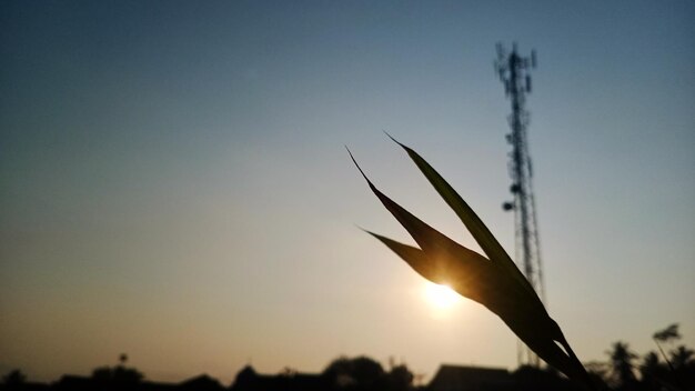 Foto el amanecer en el mundo