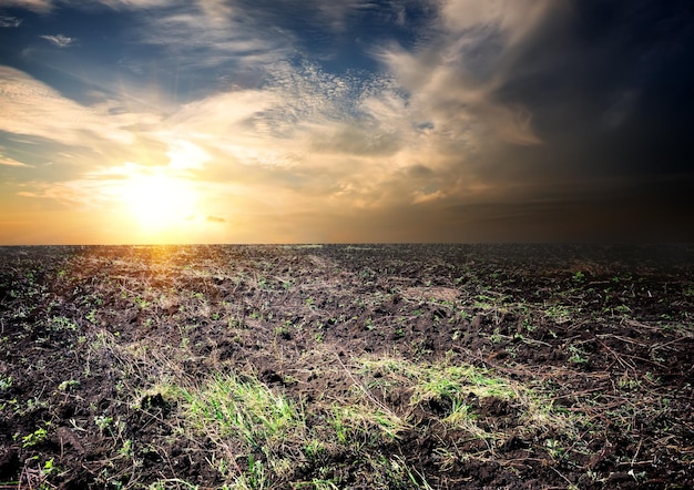 Amanecer y nubes sobre el campo cultivado.