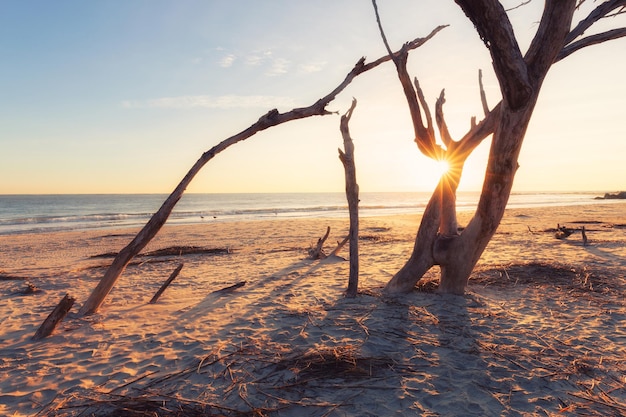 Foto amanecer en la playa de la locura