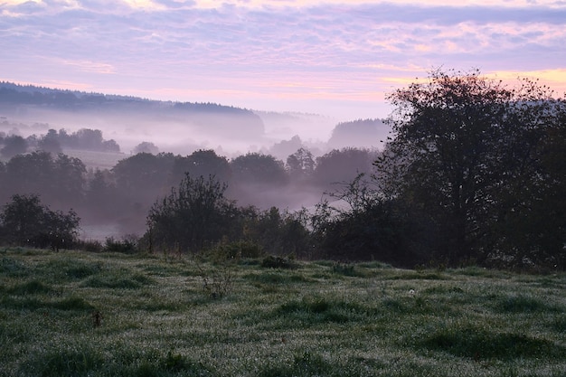 Amanecer sobre un bosque vecino con prado en primer plano Paisaje de pastos