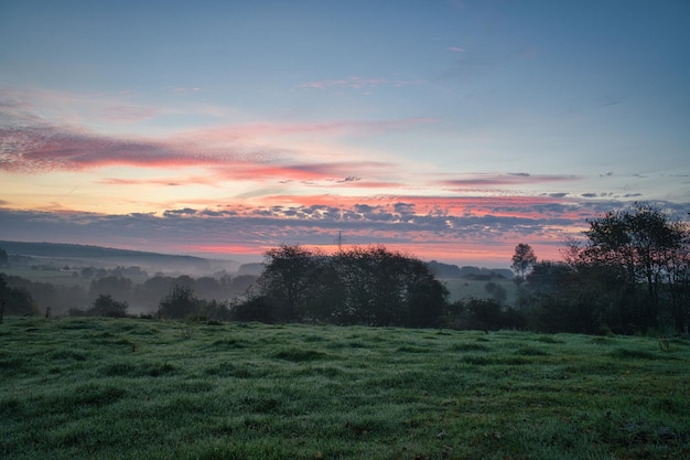 Amanecer sobre un bosque vecino con prado en primer plano Paisaje de pastos