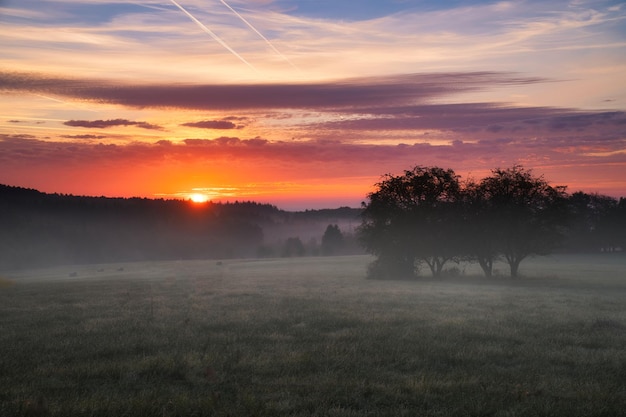 Amanecer sobre un bosque vecino con prado en primer plano Paisaje de pastos