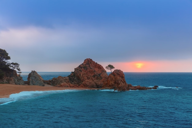 Amanecer sobre el mar y la playa en primer plano rocas y árboles en la playa de gran platja y badia...