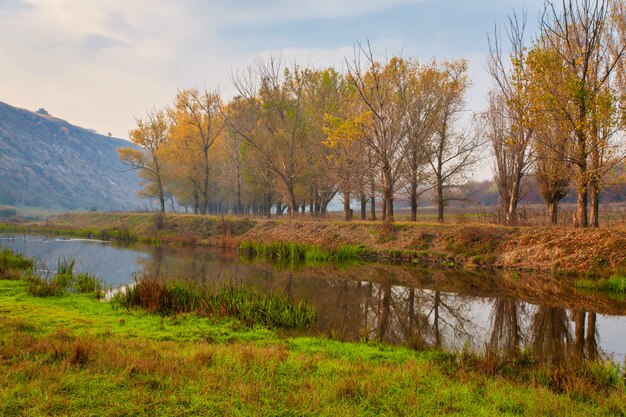 Amanecer sobre un pequeño río brumoso