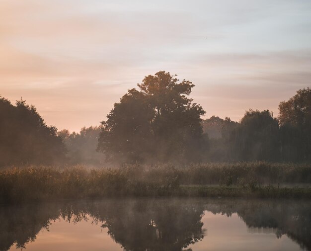 Amanecer sobre el río Concepto de despertar temprano y nuevo comienzo