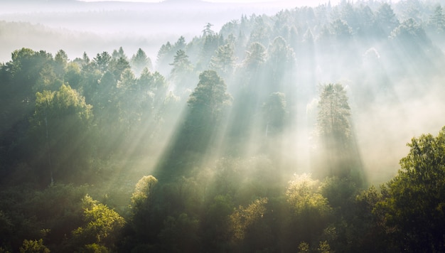 Amanecer, el sol atraviesa la niebla