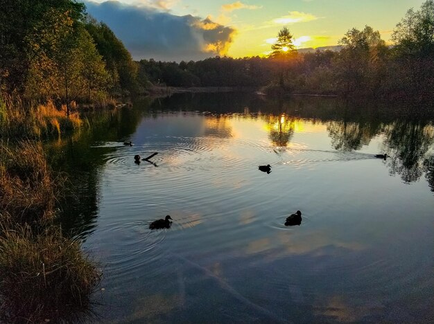 Amanecer del sol y siluetas de patos en un lago azul en Kazan