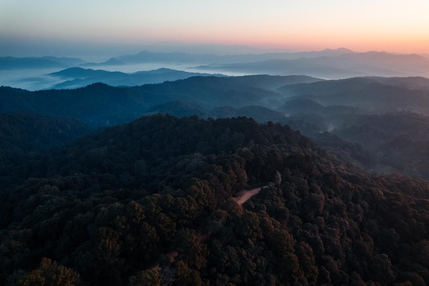 Amanecer temprano en la mañana en el bosque, paisaje matutino