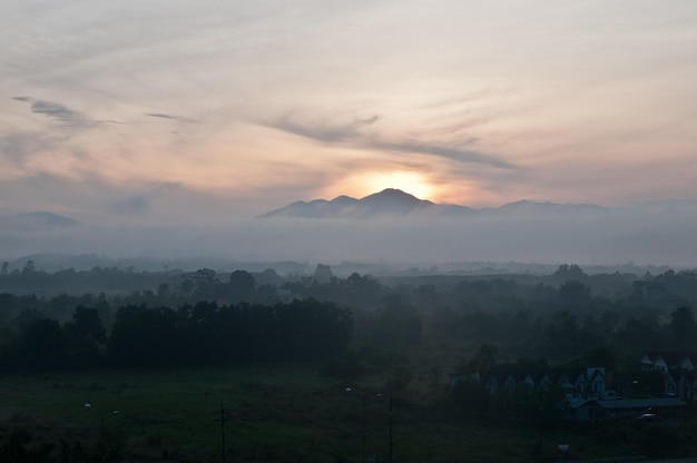 Foto amanecer temprano en la mañana en medio de la selva nublada