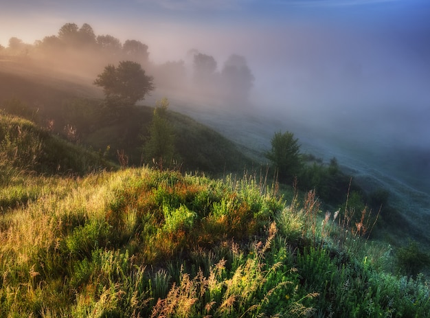 Amanecer en el valle de un pintoresco río.