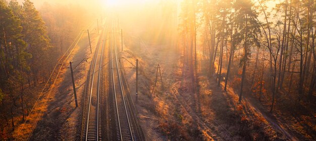 El amanecer velado de la tranquilidad se desarrolla en el ferrocarril de niebla