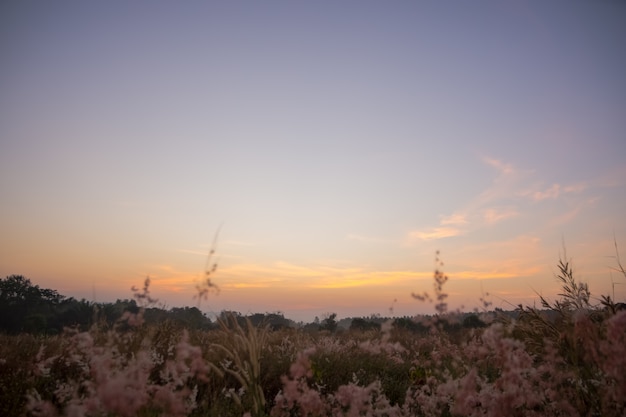 Amanhecer de manhã